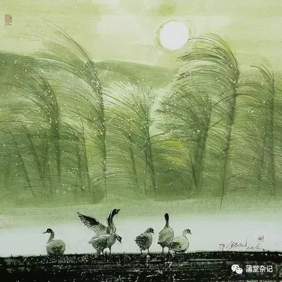 沧州市动物园 专题片解说词 浩瀚渤海之滨，蜿蜒流淌的古运河畔